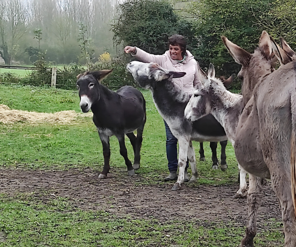 Dorothee et ses anesses