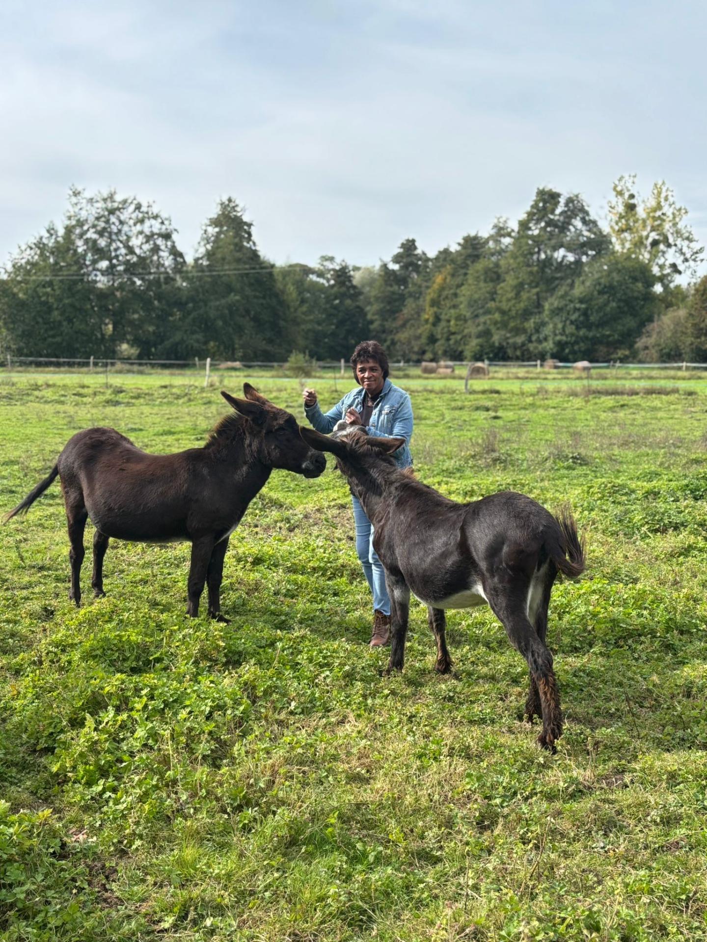 Dorothée et ses ânesses